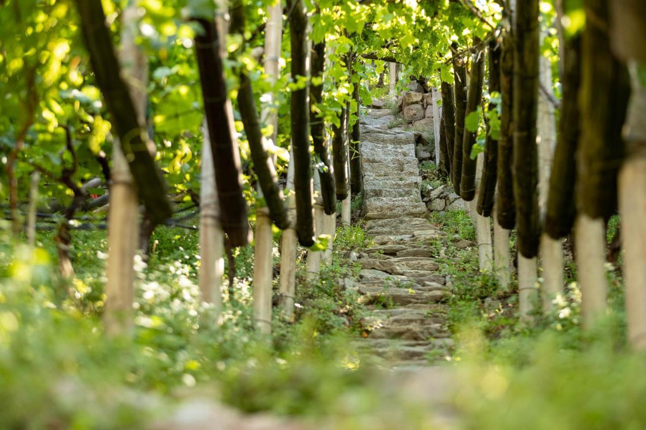 Der Ladurner Hof - Wohnen Am Weinberg Apartment Merano Bagian luar foto